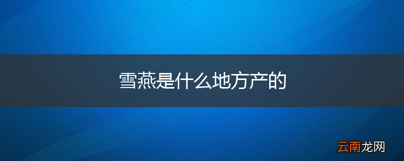 雪燕是什么地方产的