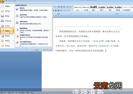 Word中加密具体操作步骤
