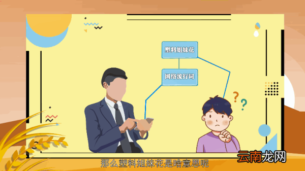 塑料姐妹花是啥意思 塑料姐妹花的意思