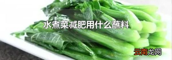 水煮菜减肥用什么蘸料