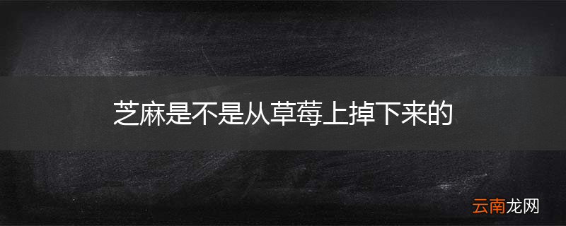 芝麻是不是从草莓上掉下来的