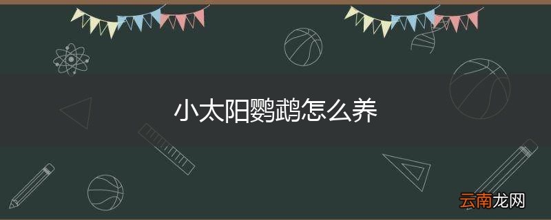 小太阳鹦鹉怎么养