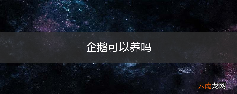 企鹅可以养吗