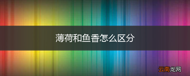 薄荷和鱼香怎么区分