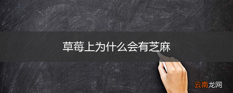 草莓上为什么会有芝麻