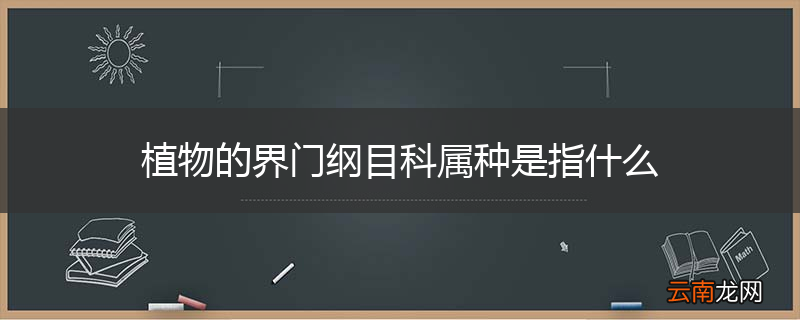 植物的界门纲目科属种是指什么