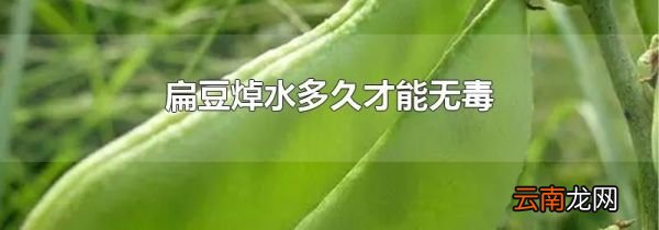 扁豆焯水多久才能无毒