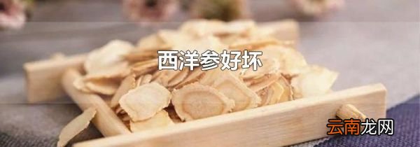 西洋参好坏