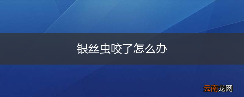 银丝虫咬了怎么办
