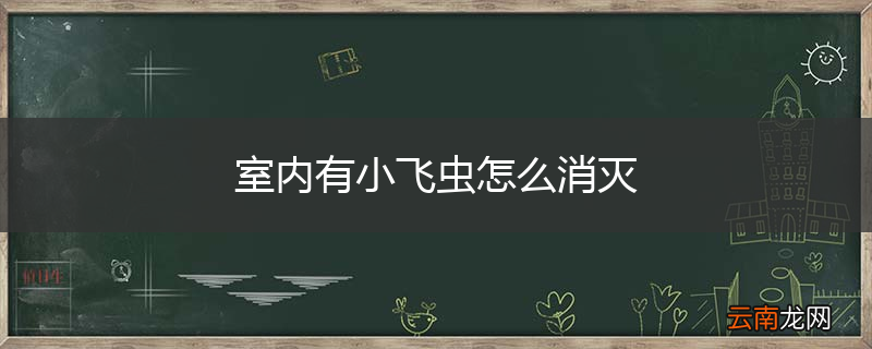 室内有小飞虫怎么消灭