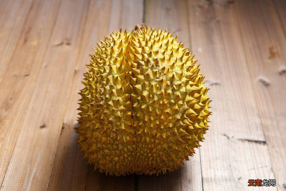 榴莲的品种有几种