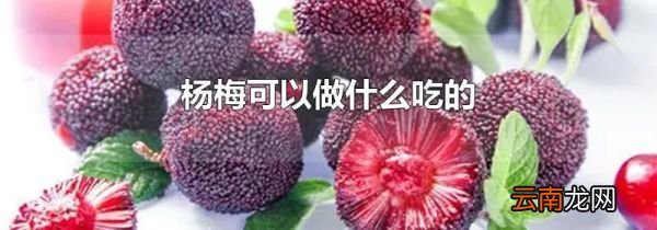 杨梅可以做什么吃的