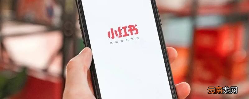 小红书笔记发表多久能收录
