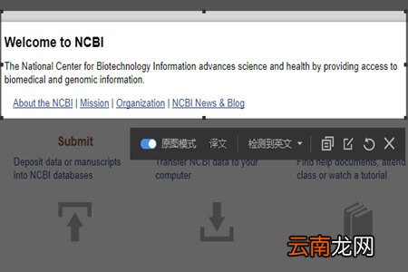 有道词典中实现截屏翻译具体操作步骤