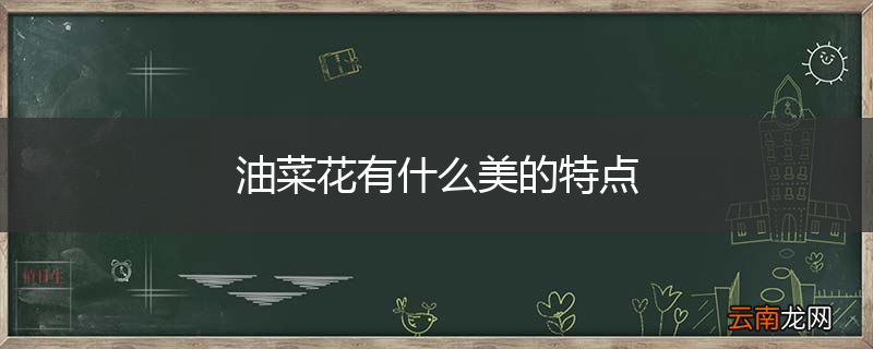 油菜花有什么美的特点