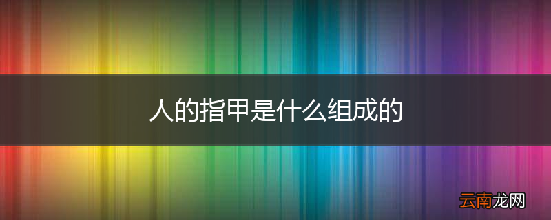 人的指甲是什么组成的