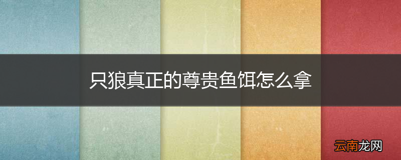 只狼真正的尊贵鱼饵怎么拿