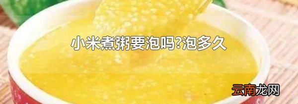小米煮粥要泡吗?泡多久
