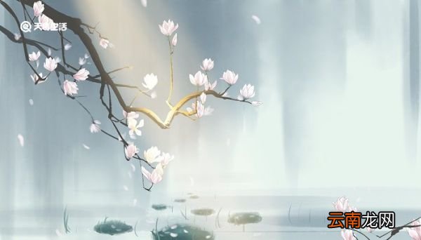 采薇古诗意思解释 采薇古诗的意思简短