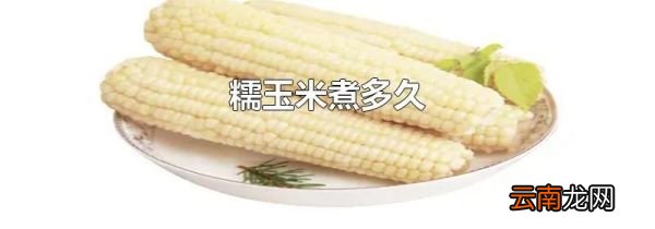 糯玉米煮多久