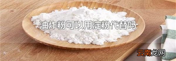 油炸粉可以用淀粉代替吗