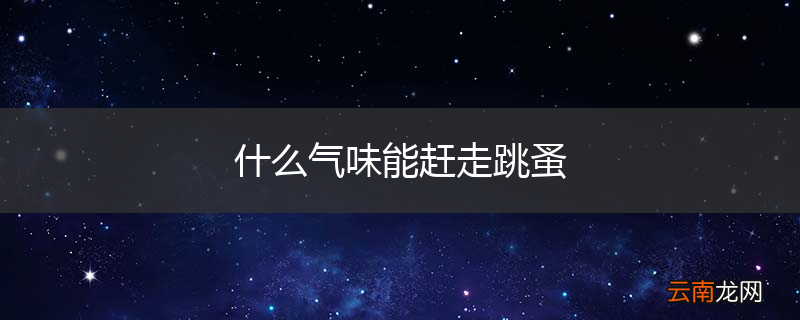 什么气味能赶走跳蚤