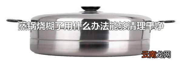 蒸锅烧糊了用什么办法能够清理干净