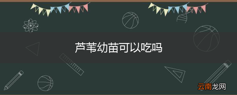 芦苇幼苗可以吃吗