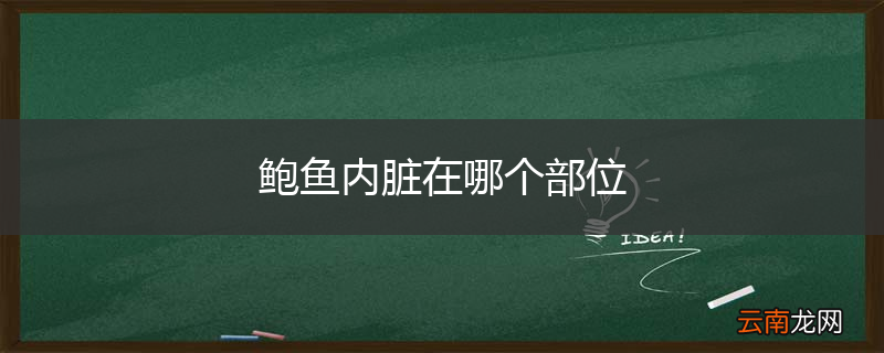鲍鱼内脏在哪个部位