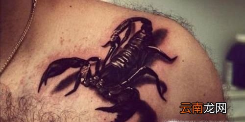 纹身疼吗?纹身疼不疼?
