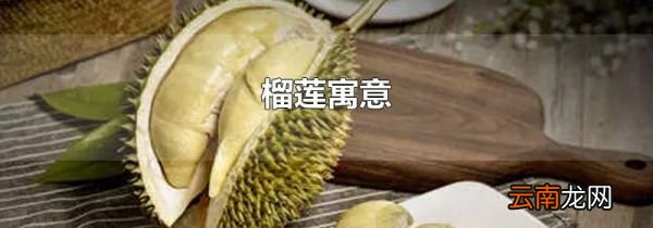 榴莲寓意