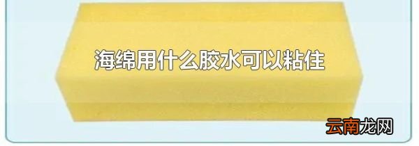 海绵用什么胶水可以粘住
