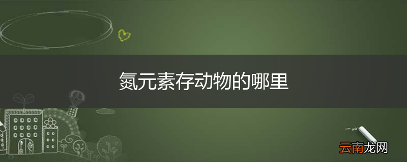 氮元素存动物的哪里