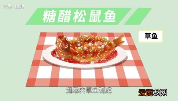 糖醋松鼠鱼是哪里的菜 糖醋松鼠鱼是哪个地方的菜