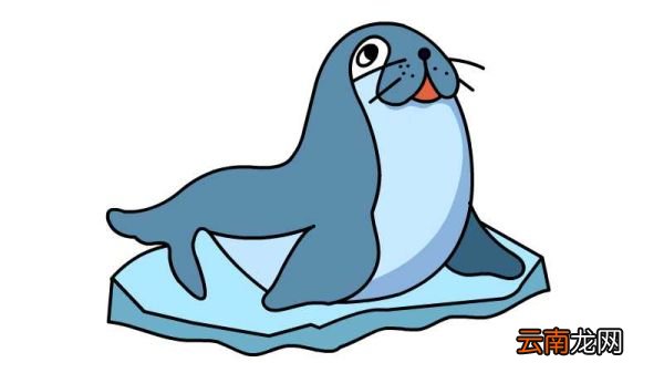 小海豹简笔画怎么画小海豹简笔画的画法