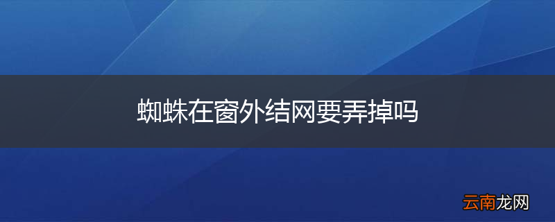 蜘蛛在窗外结网要弄掉吗