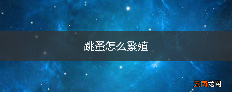 跳蚤怎么繁殖
