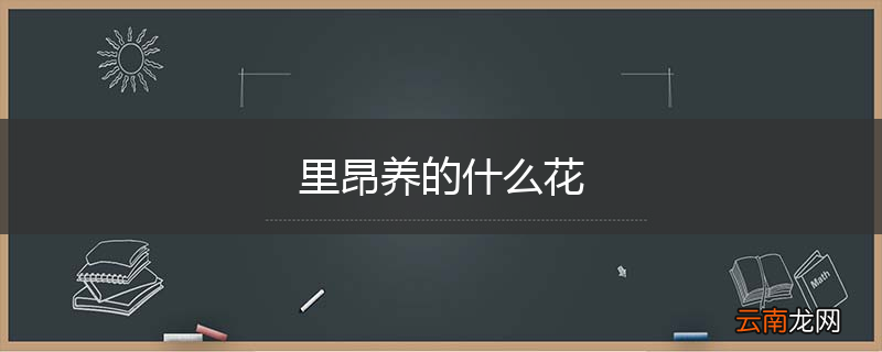 里昂养的什么花