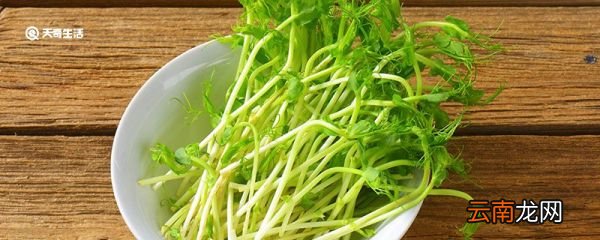 绿豆芽煮几分钟熟
