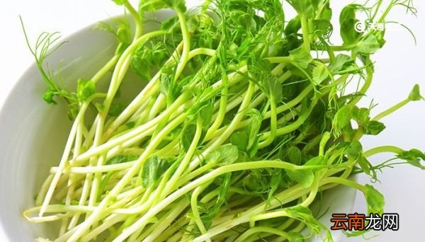绿豆芽煮几分钟熟