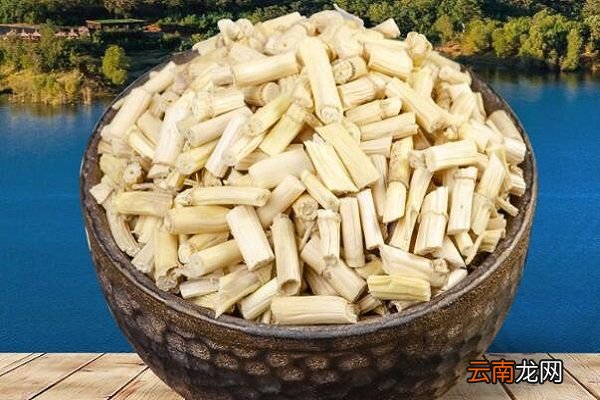 白矛根的功效与作用 白茅根主要有什么功效
