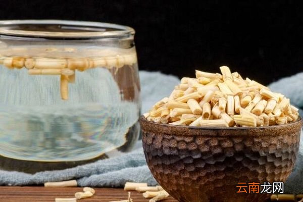 白矛根的功效与作用 白茅根主要有什么功效