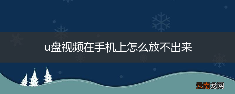 u盘视频在手机上怎么放不出来