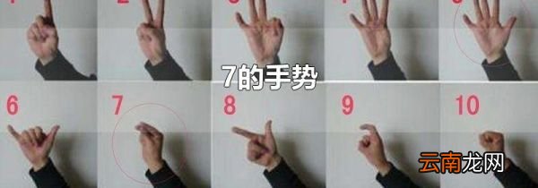 7的手势