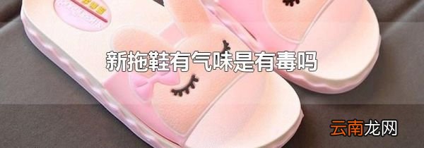 新拖鞋有气味是有毒吗