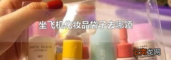 坐飞机化妆品袋子去哪领