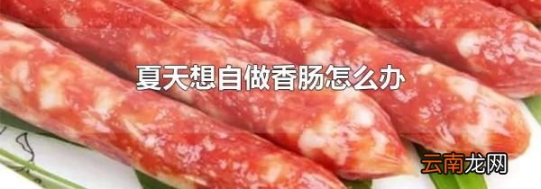 夏天想自做香肠怎么办
