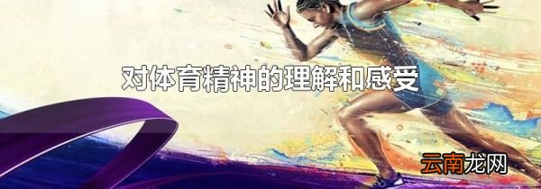 对体育精神的理解和感受