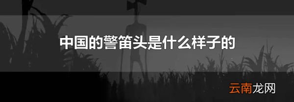 中国的警笛头是什么样子的