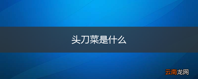 头刀菜是什么